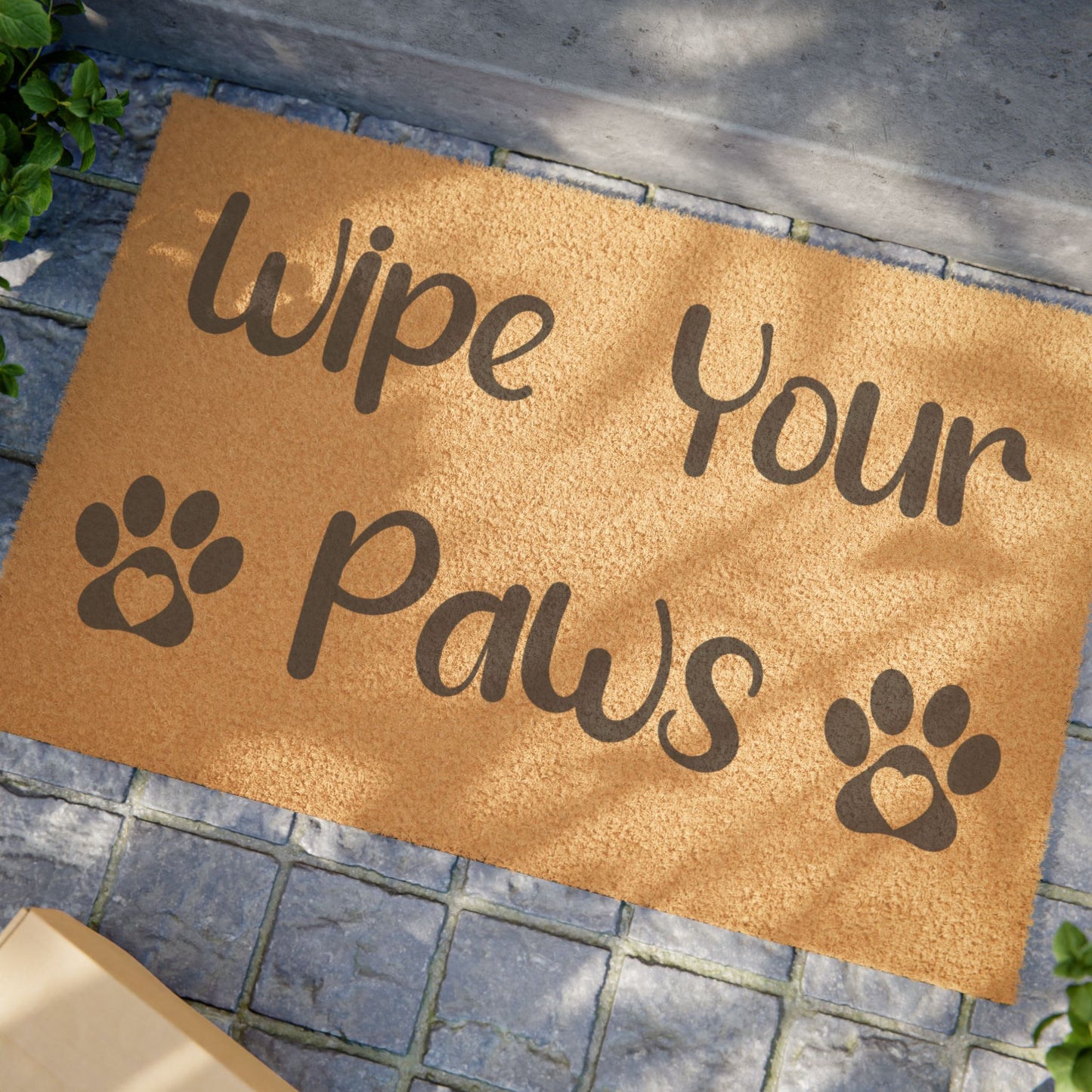 Wipe Your Paws Door Mat