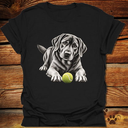 Black Labrador Let's Play T-Shirt