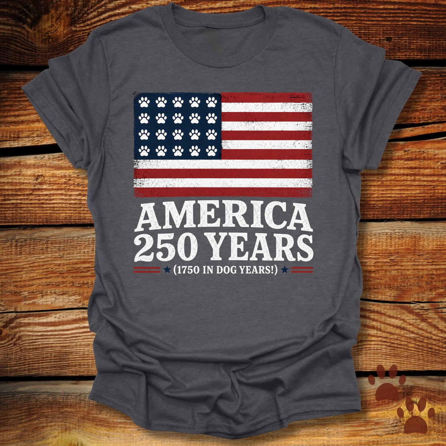 America 250 Years T-Shirt