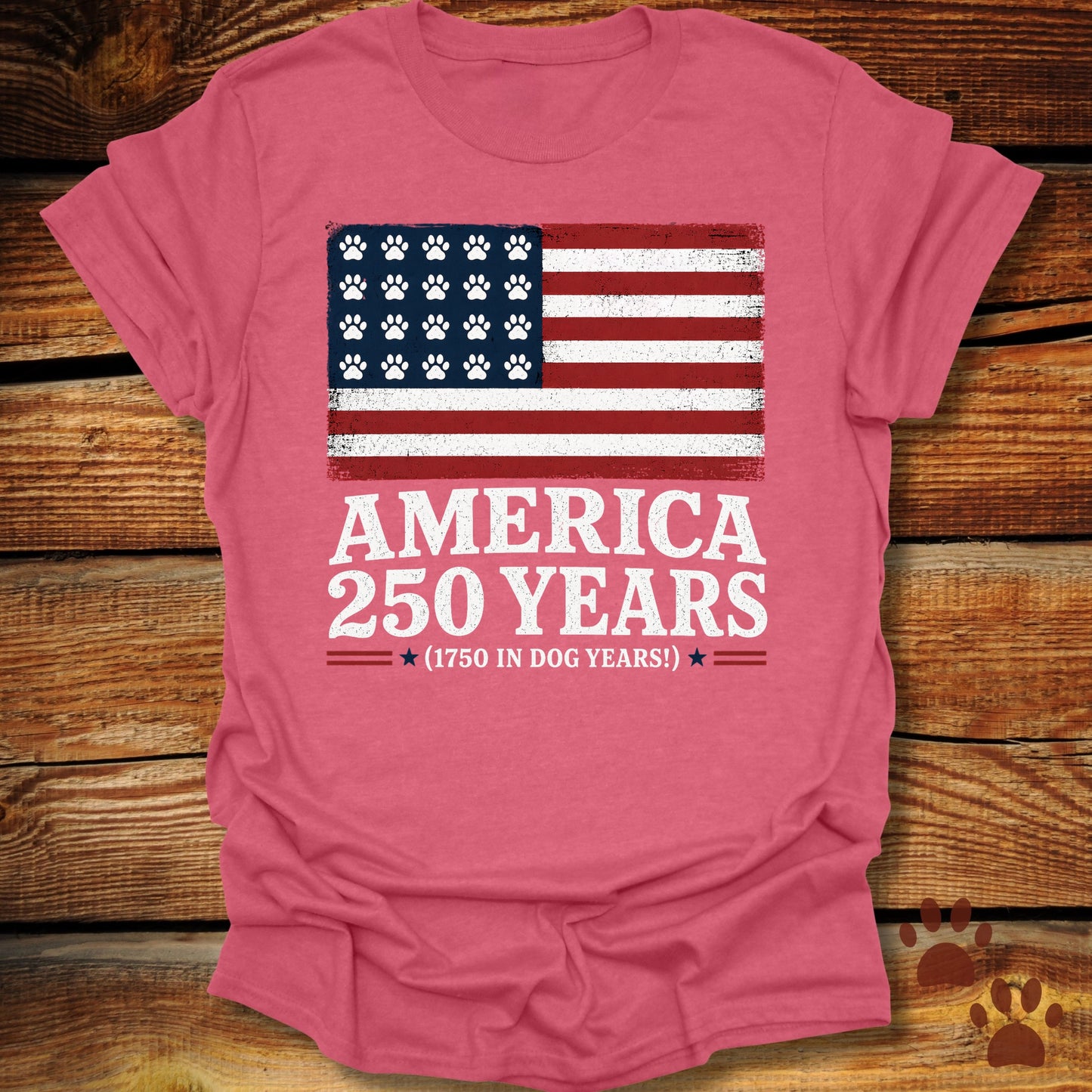 America 250 Years T-Shirt