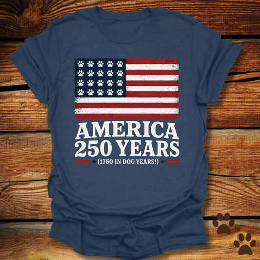 America 250 Years T-Shirt