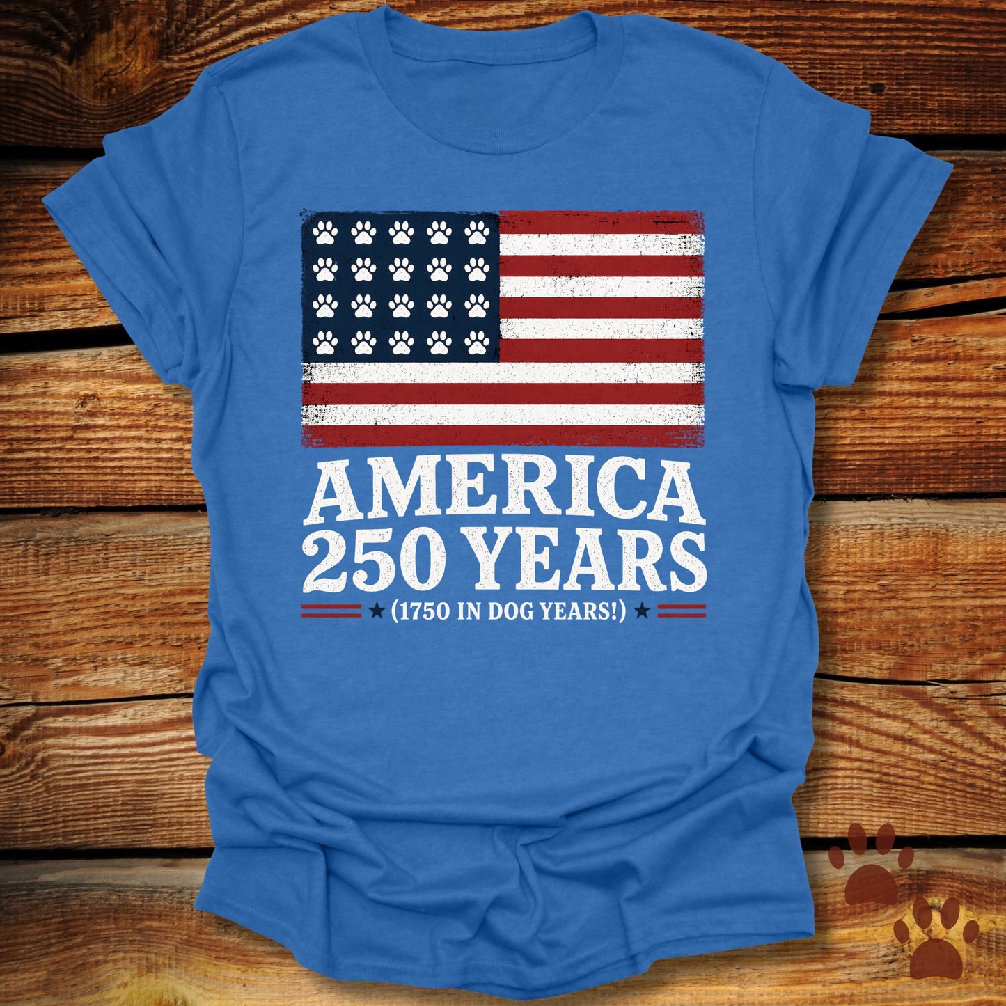 America 250 Years T-Shirt