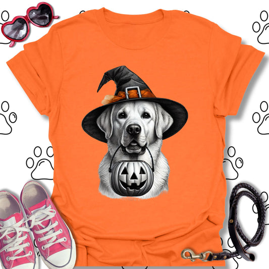 Labrador Pumpkin Witches Hat