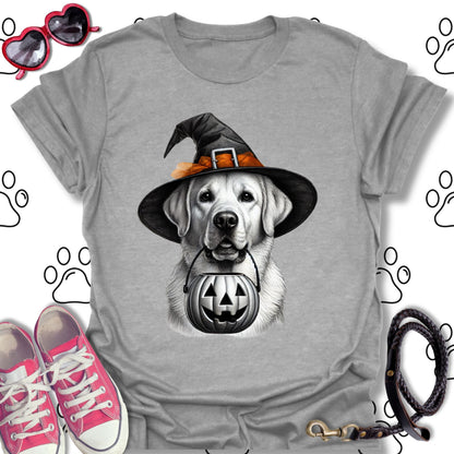 Labrador Pumpkin Witches Hat