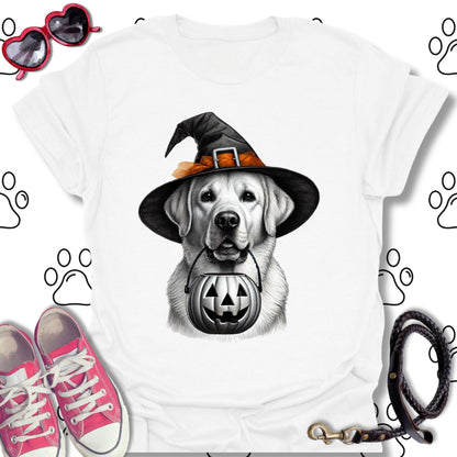Labrador Pumpkin Witches Hat