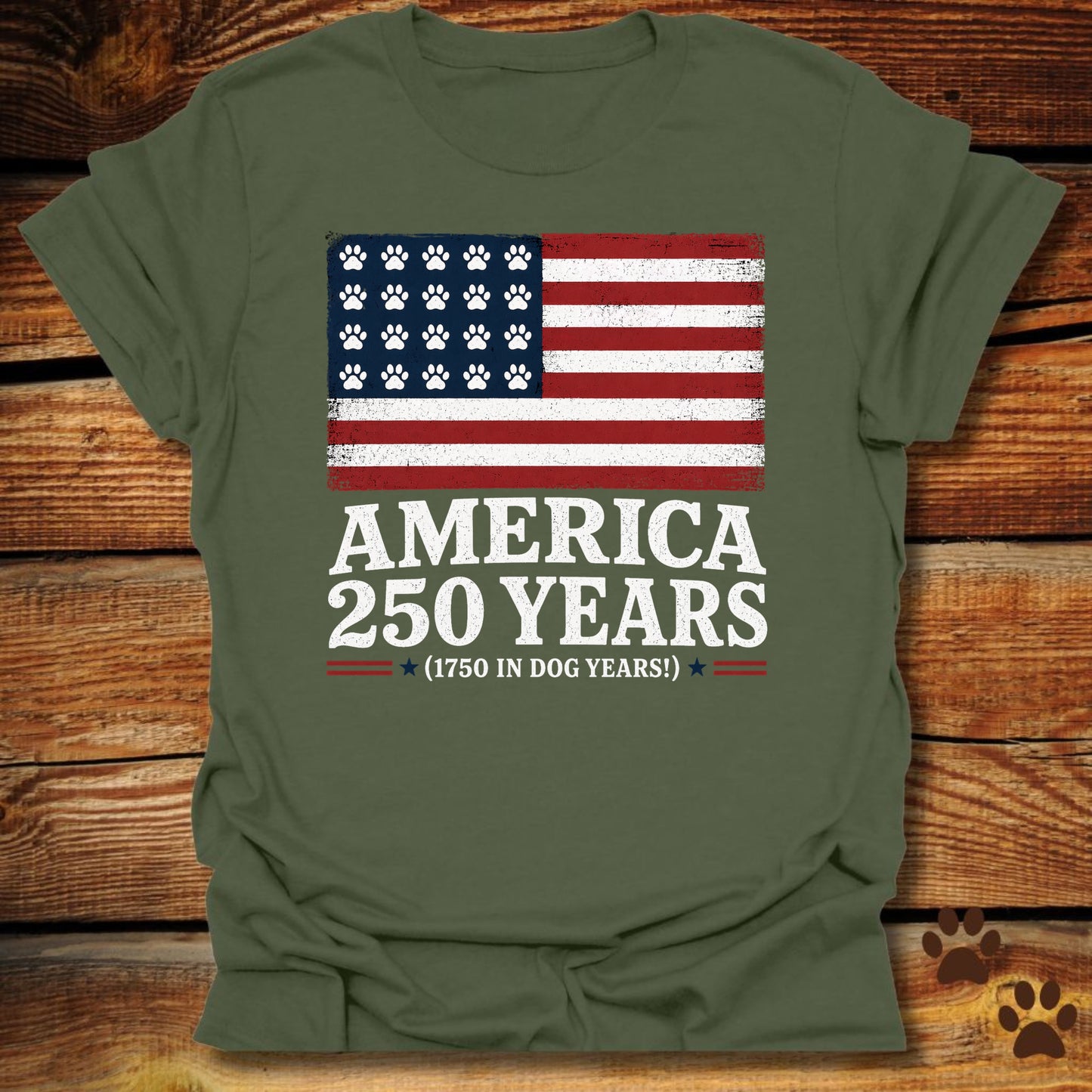 America 250 Years T-Shirt