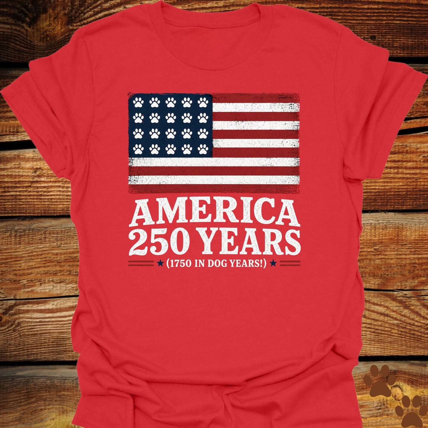 America 250 Years T-Shirt
